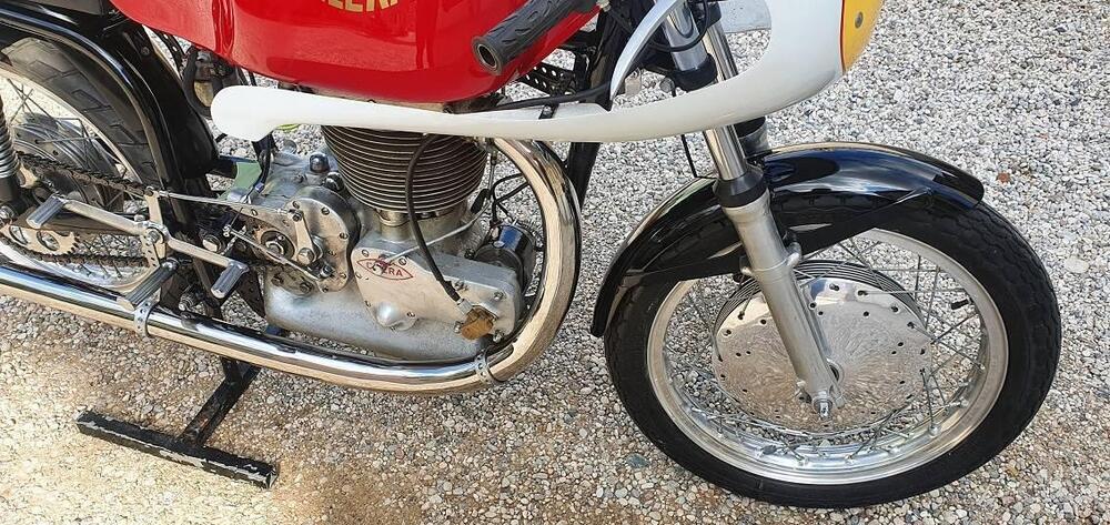 Gilera SATURNO PIUMA (2)