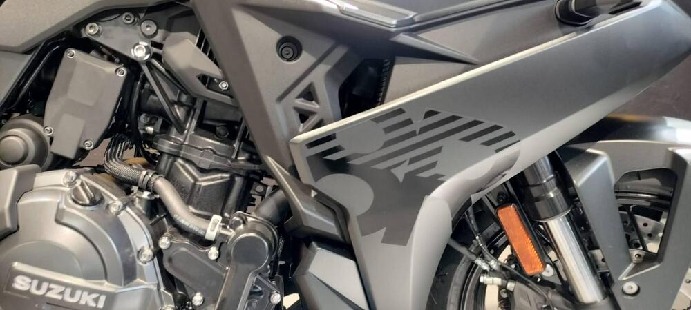 Suzuki GSX-8R (2024 - 25) (5)