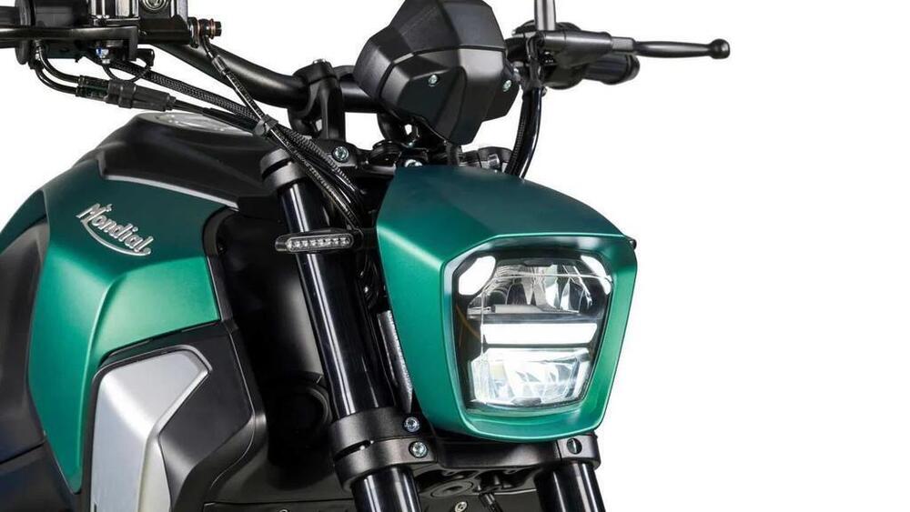 FB Mondial Flex 300 (2024 - 25) (4)