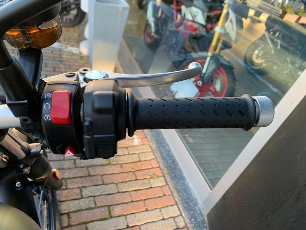 Triumph Street Scrambler 900 (2017 - 18) (9)