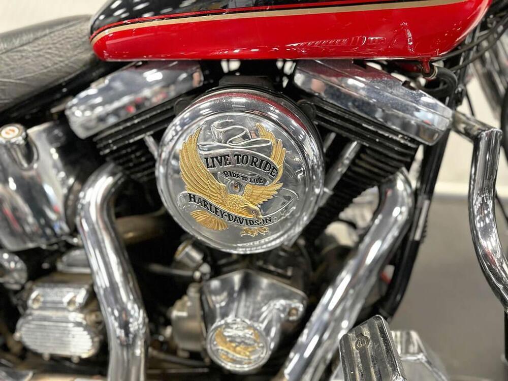 Harley-Davidson 1340 Custom (1989 - 98) (11)