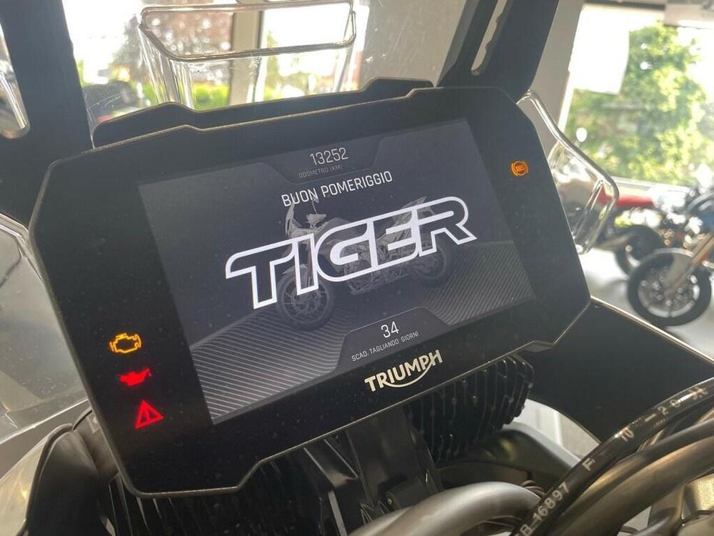 Triumph Tiger 900 Rally Pro (2020 - 23) (6)