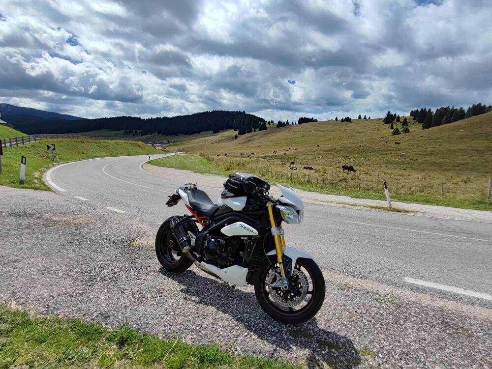 Triumph Speed Triple 1050 R ABS (2011 - 15) (6)