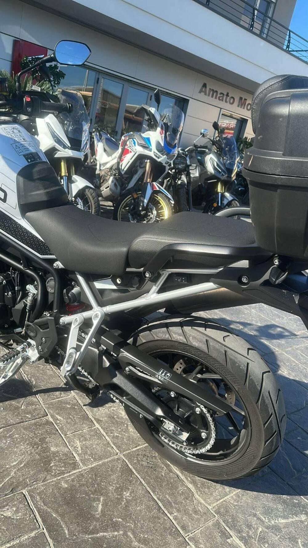 Triumph Tiger 900 GT Pro (2024 - 25) (8)