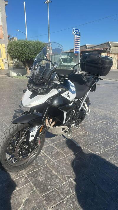 Triumph Tiger 900 GT Pro (2024 - 25) usata