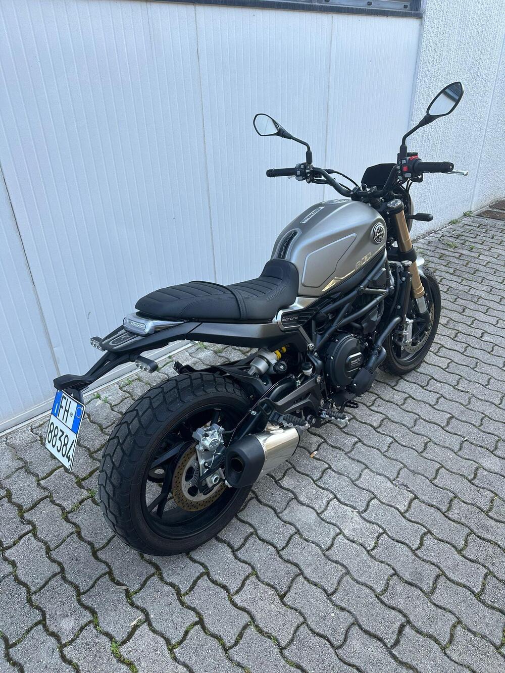 Benelli Leoncino 800 (2022 - 25) (5)