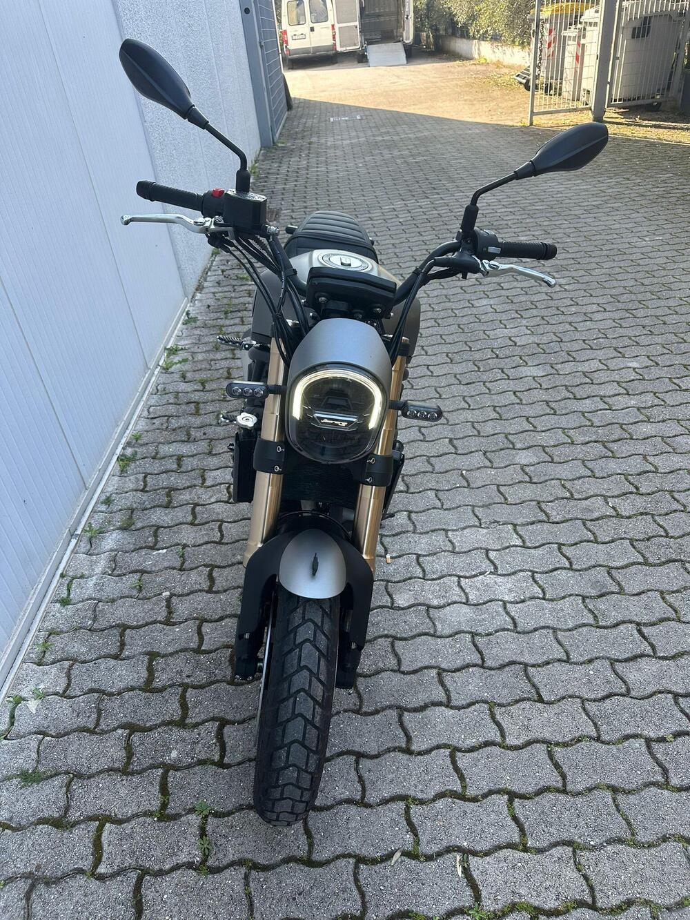 Benelli Leoncino 800 (2022 - 25) (9)