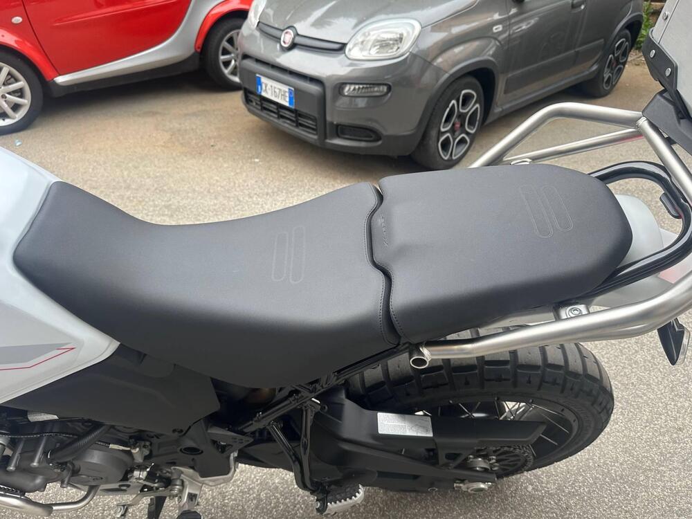 Ducati DesertX (2022 - 25) (12)