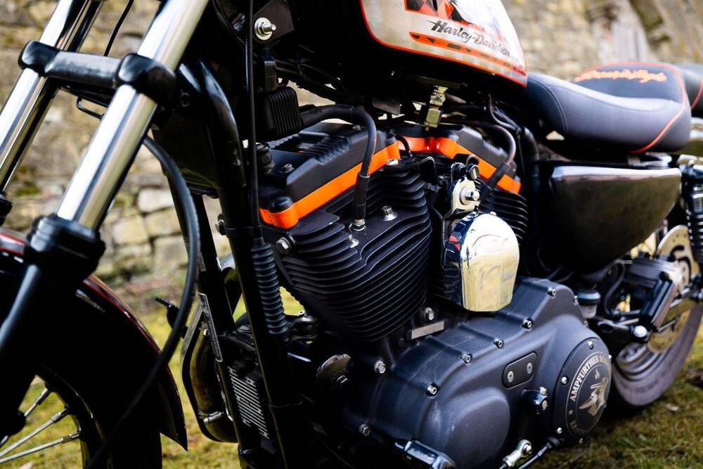 Harley-Davidson 1200 Custom (2004 - 06) - XL 1200C (6)