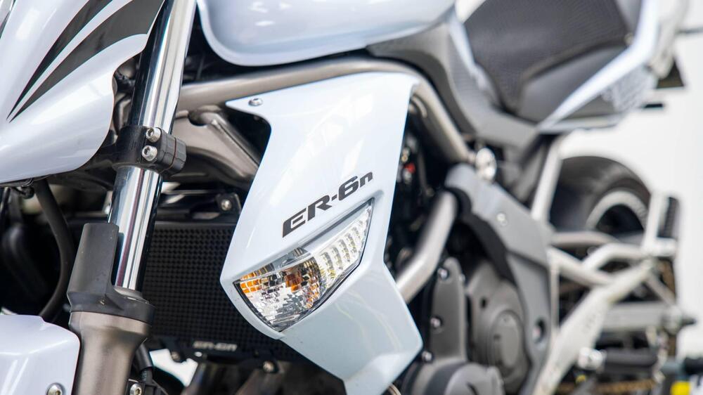 Kawasaki ER-6N (2006 - 09) (11)