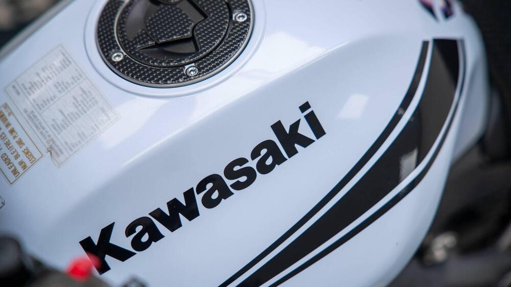 Kawasaki ER-6N (2006 - 09) (12)