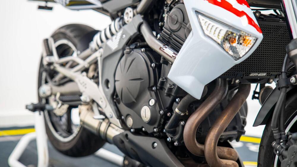 Kawasaki ER-6N (2006 - 09) (13)