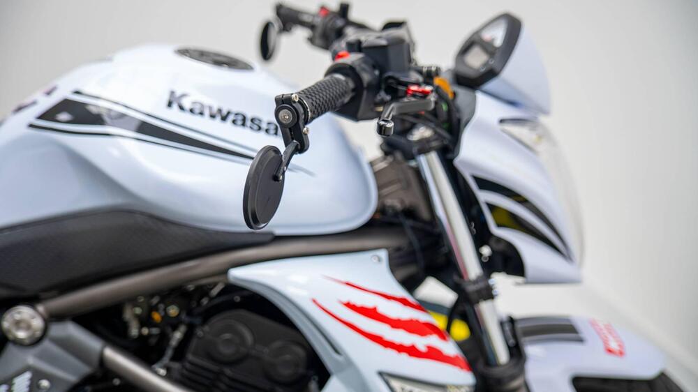 Kawasaki ER-6N (2006 - 09) (17)