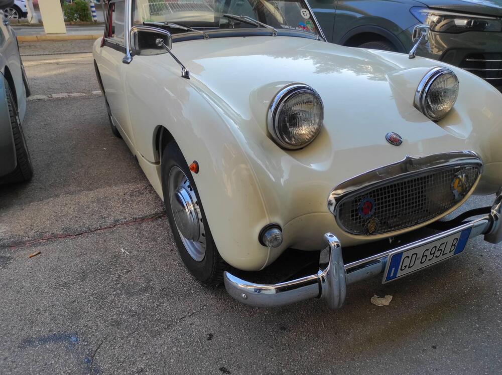 Austin Healey Sprite mk1 d'epoca a Foggia (2)