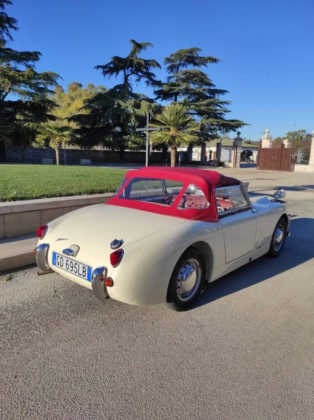 Austin Healey Sprite mk1 d'epoca a Foggia (4)