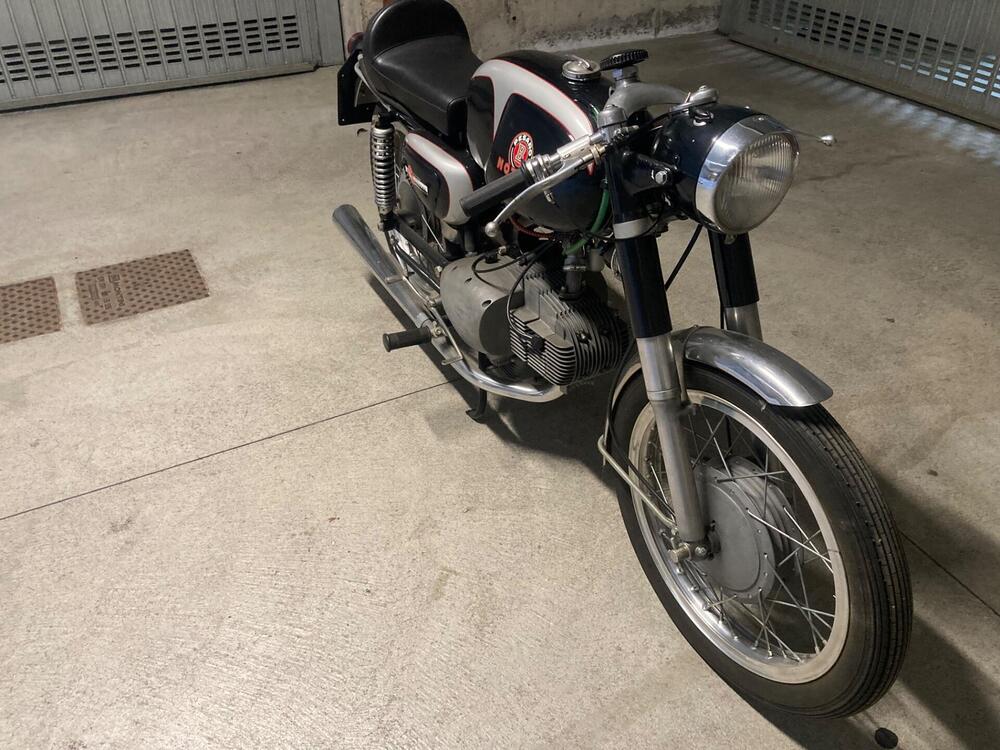 Motobi 250 super special (12)