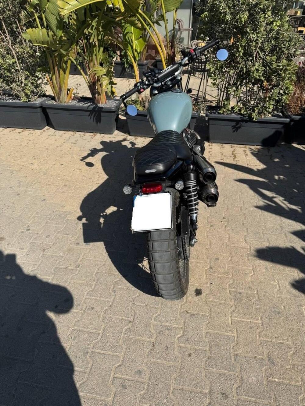 Triumph Street Scrambler 900 (2021 - 22) (4)