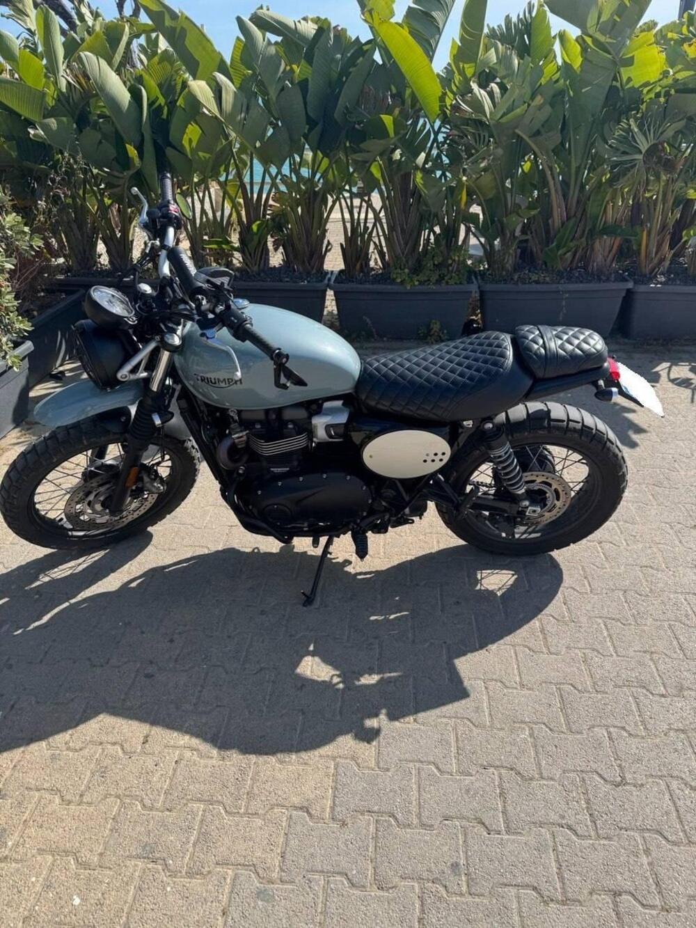 Triumph Street Scrambler 900 (2021 - 22) (5)