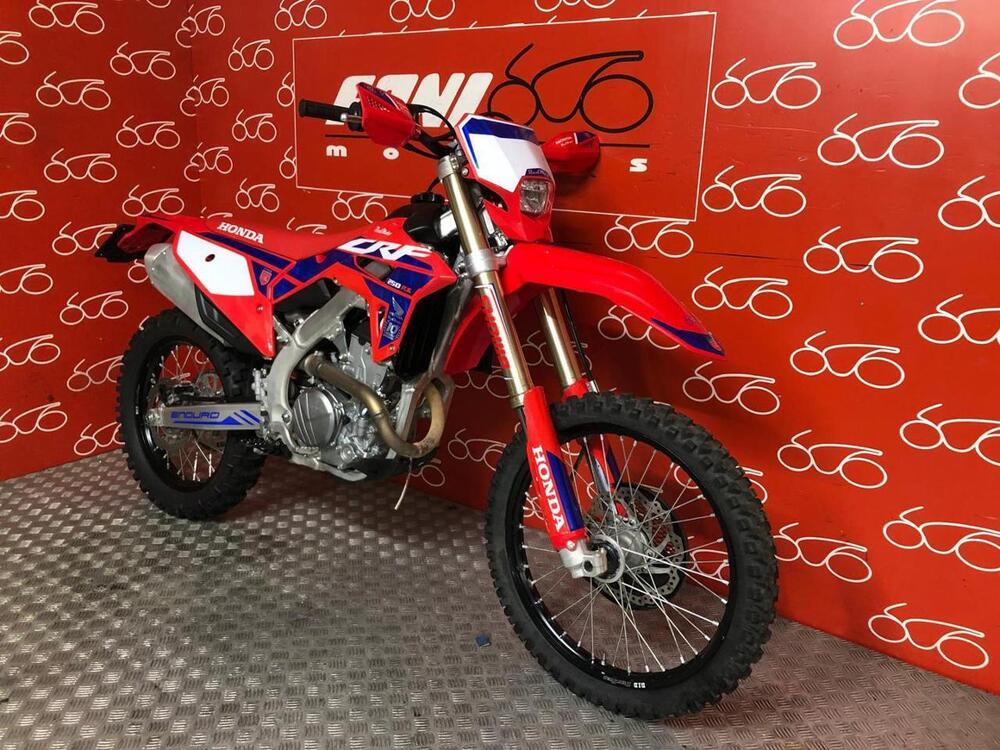 Honda CRF 250 RX Enduro (2024) (2)