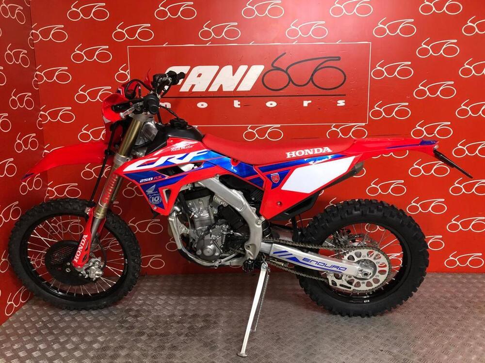 Honda CRF 250 RX Enduro (2024) (3)