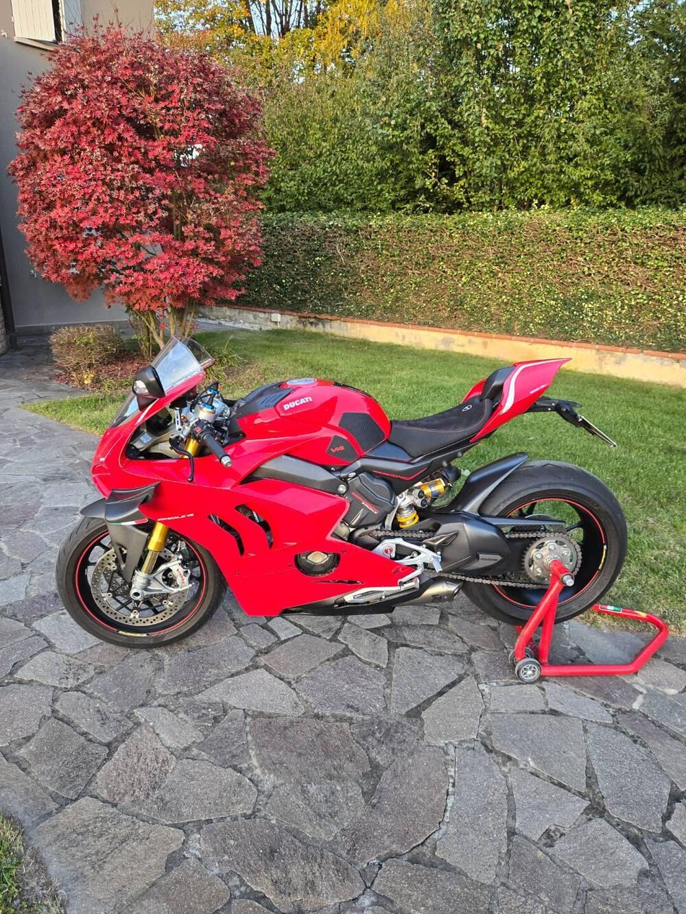 Ducati Panigale V4 1100 (2020) (5)