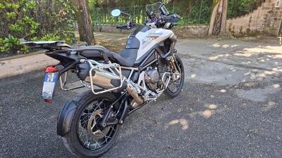 Triumph Tiger 1200 Rally Pro (2022 - 23) usata