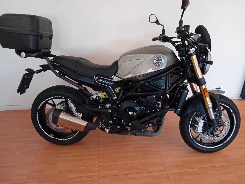 Benelli Leoncino 800 (2022 - 25)