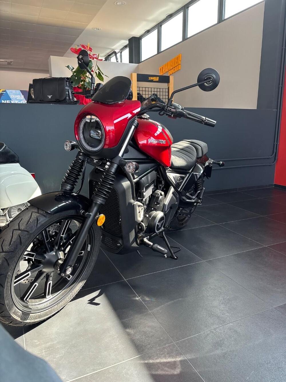 Moto Morini Calibro Custom (2024 - 25) (2)