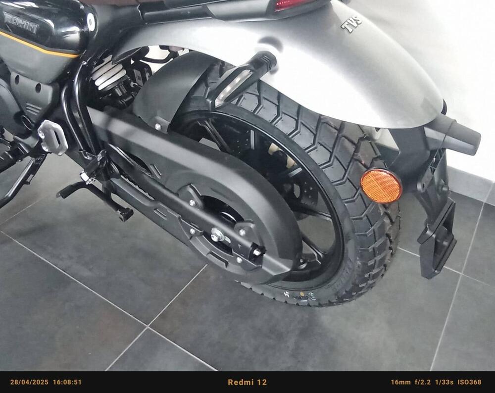 TVS Motor Ronin 250 (2024 - 25) (5)