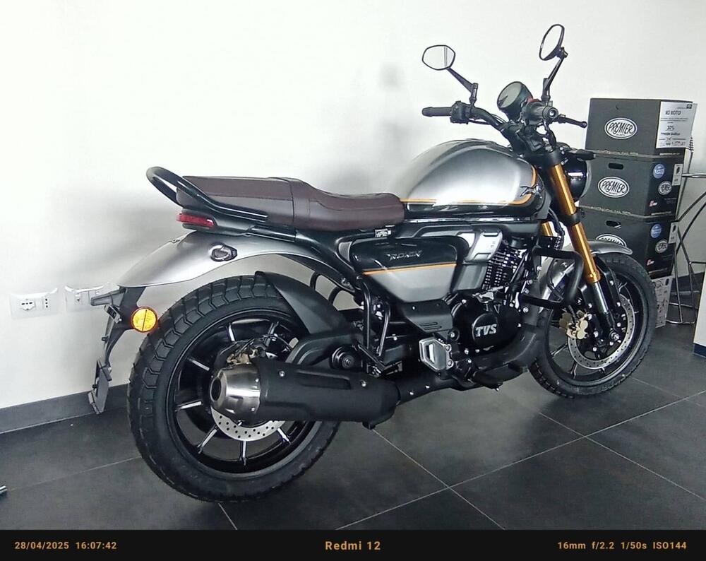 TVS Motor Ronin 250 (2024 - 25) (9)