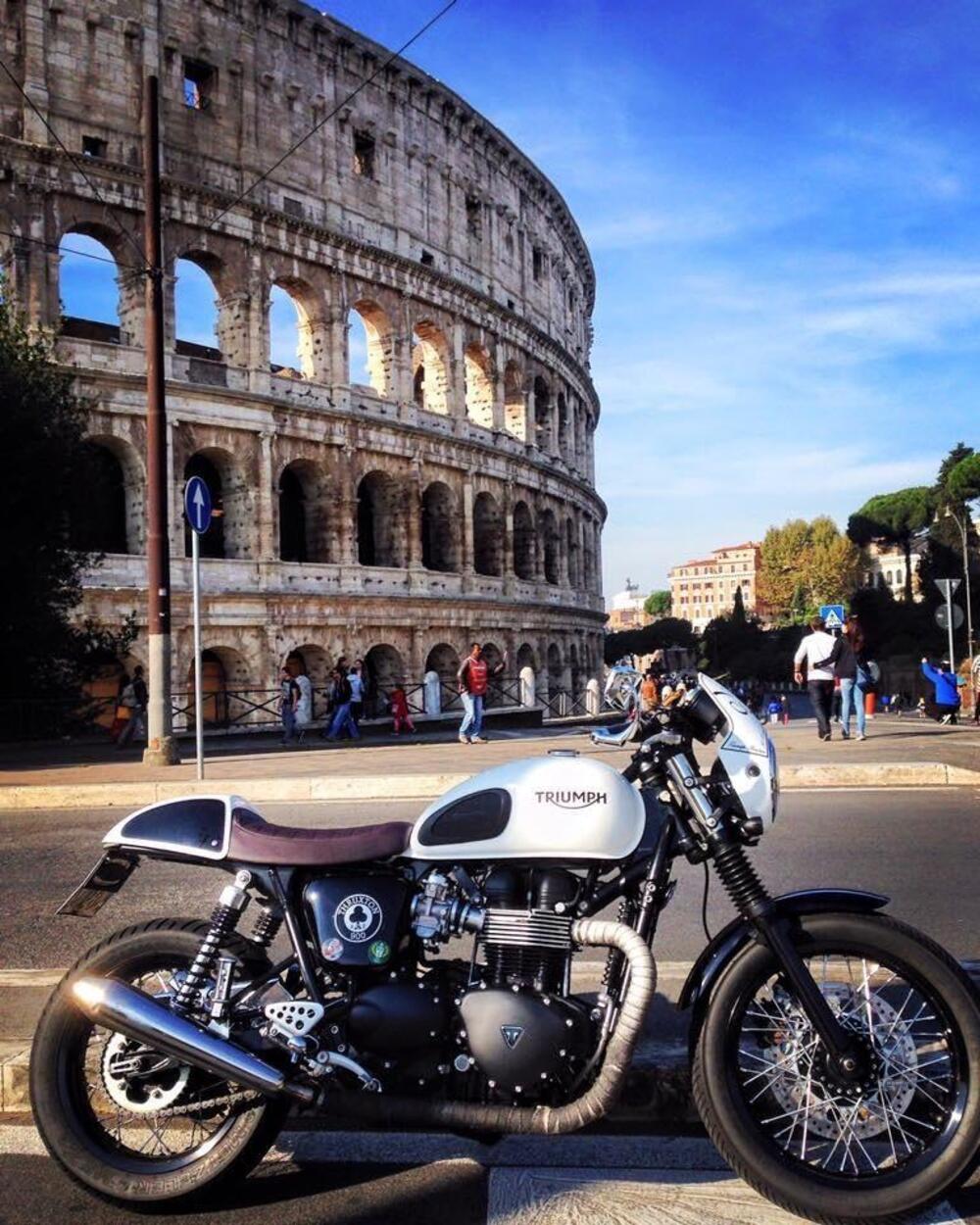 Triumph Thruxton 900 ACE (2014 - 15) (8)