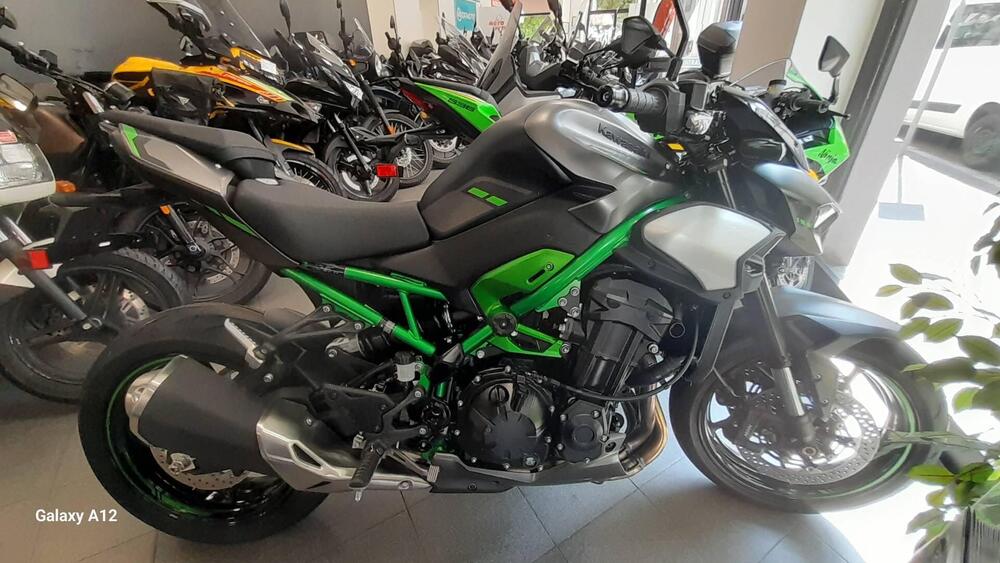 Kawasaki Z 900 (2025 - 26)