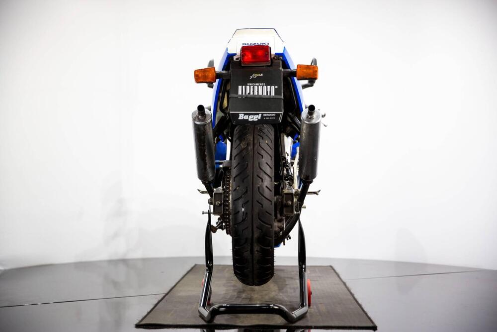 Suzuki RGV 250 (1989 - 97) (9)