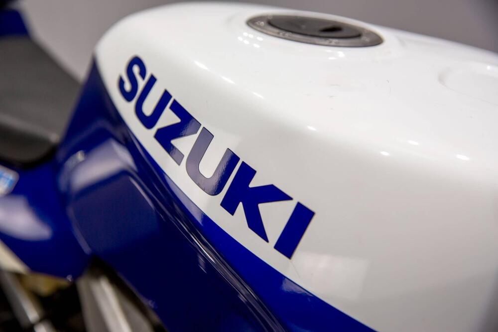 Suzuki RGV 250 (1989 - 97) (12)