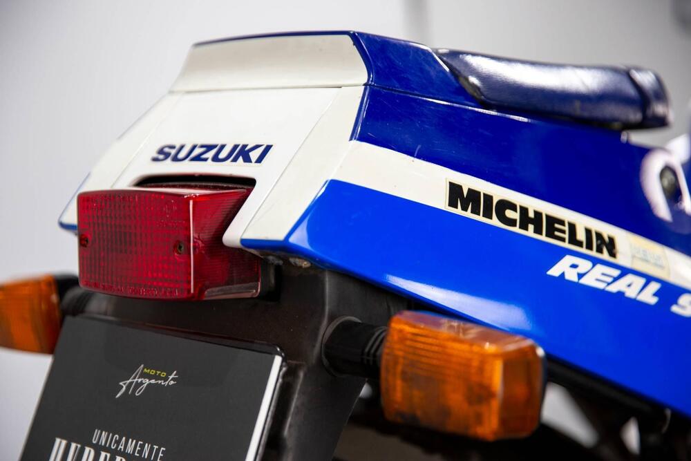 Suzuki RGV 250 (1989 - 97) (14)