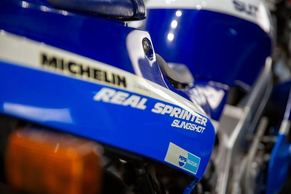 Suzuki RGV 250 (1989 - 97) (15)