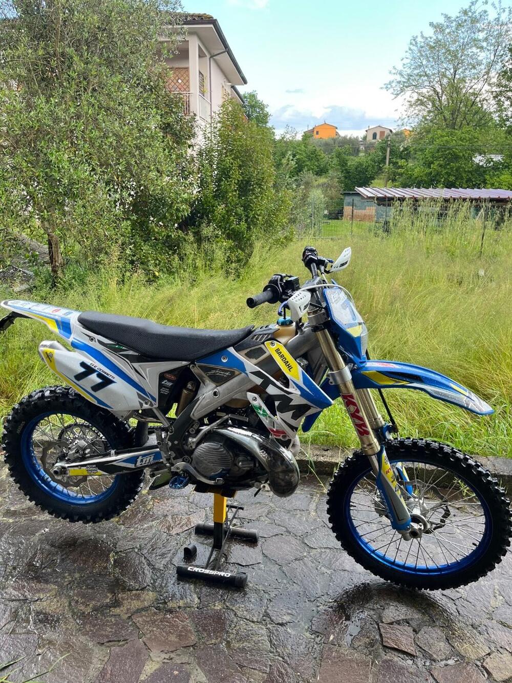 Tm Moto EN 300 Es 2t (2020) (6)