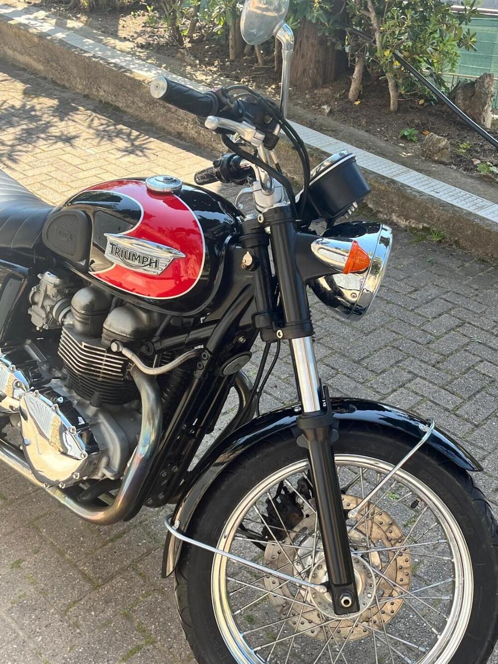 Triumph Bonneville T100 (2001 - 07) (8)