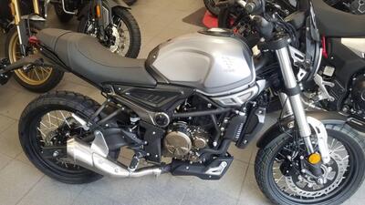 Voge Trofeo 300ACX Scrambler (2021 - 25) nuova