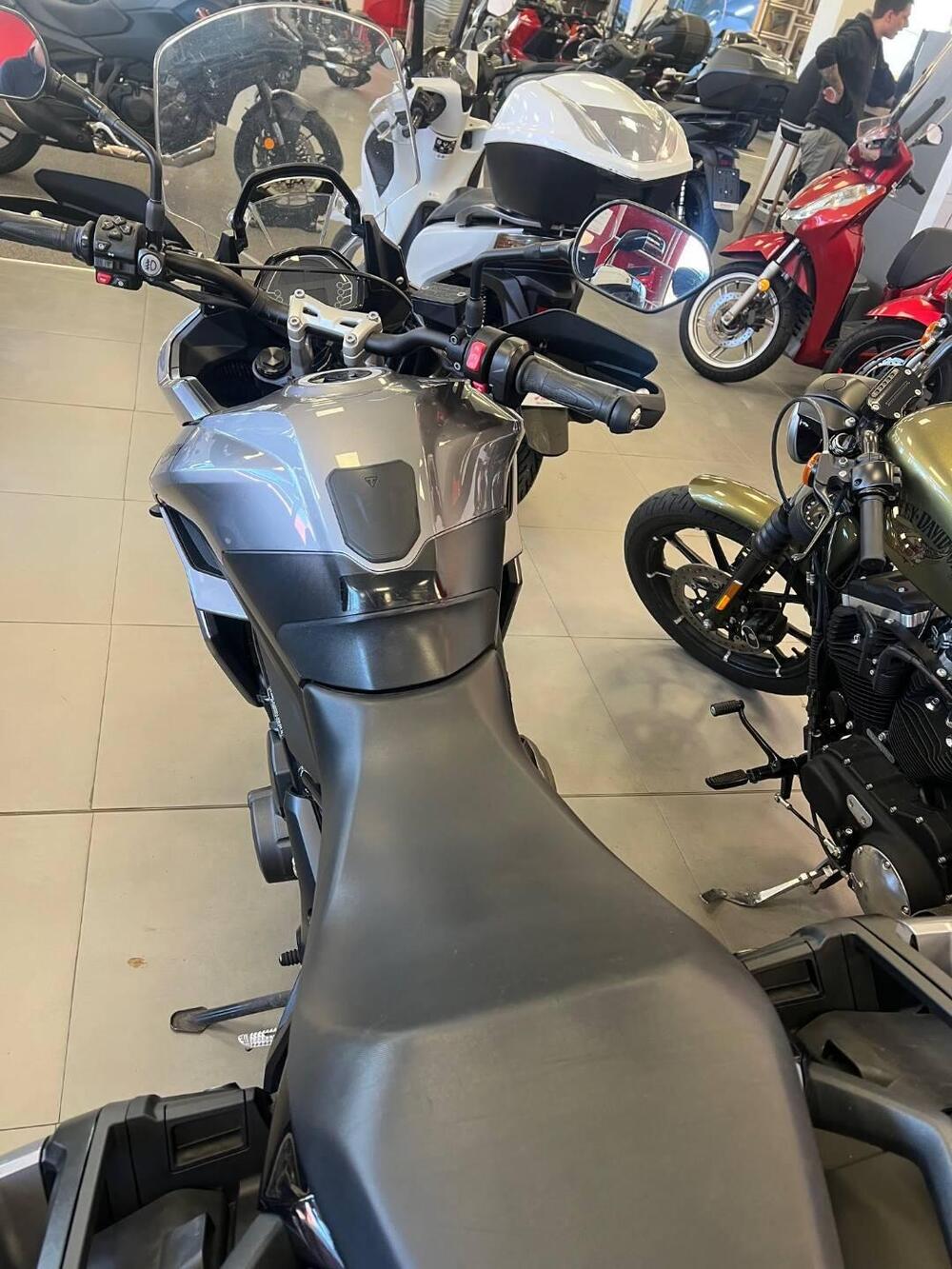 Triumph Tiger Sport 660 (2022 - 24) (4)