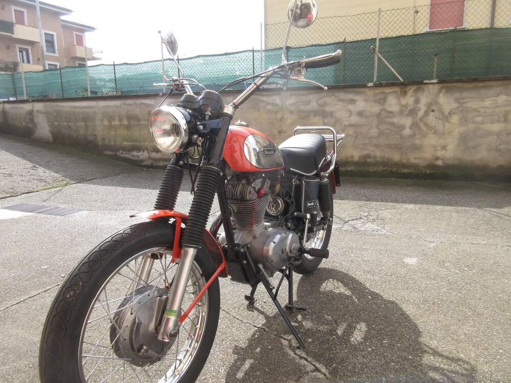 Ducati scrambler 350 (2)