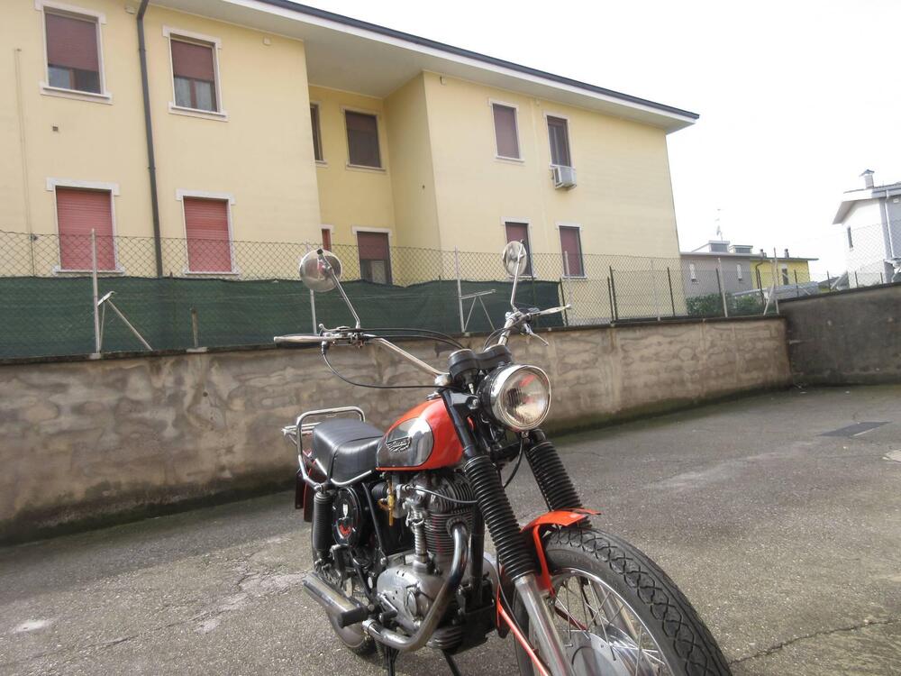 Ducati scrambler 350 (6)