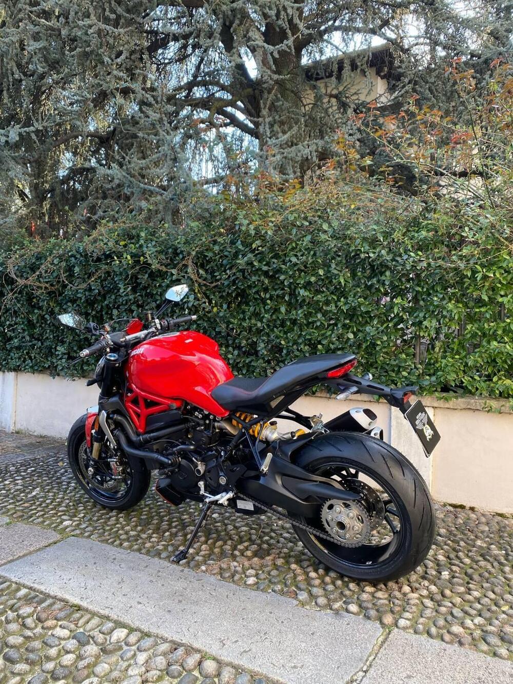 Ducati Monster 1200 R (2016 - 19) (20)