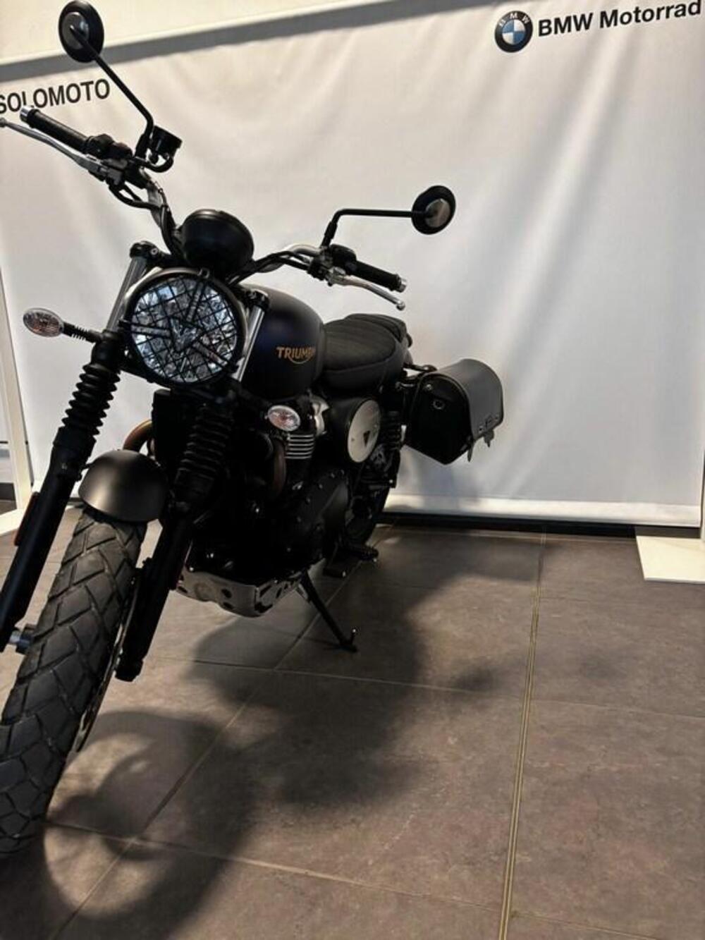 Triumph Street Scrambler 900 Gold Line Edition (2021 - 23) (3)
