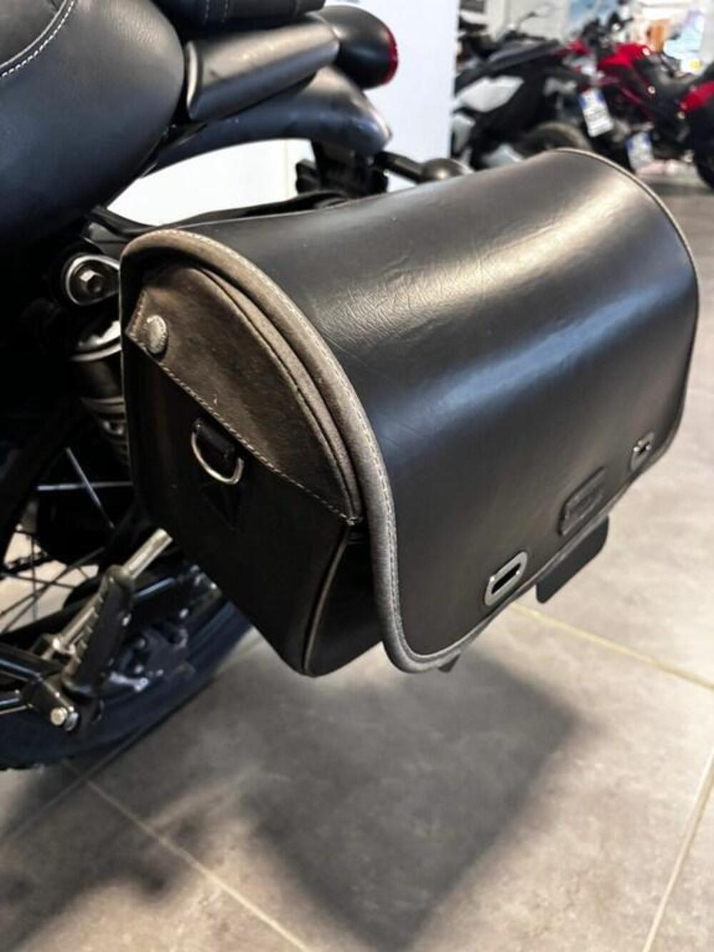 Triumph Street Scrambler 900 Gold Line Edition (2021 - 23) (5)