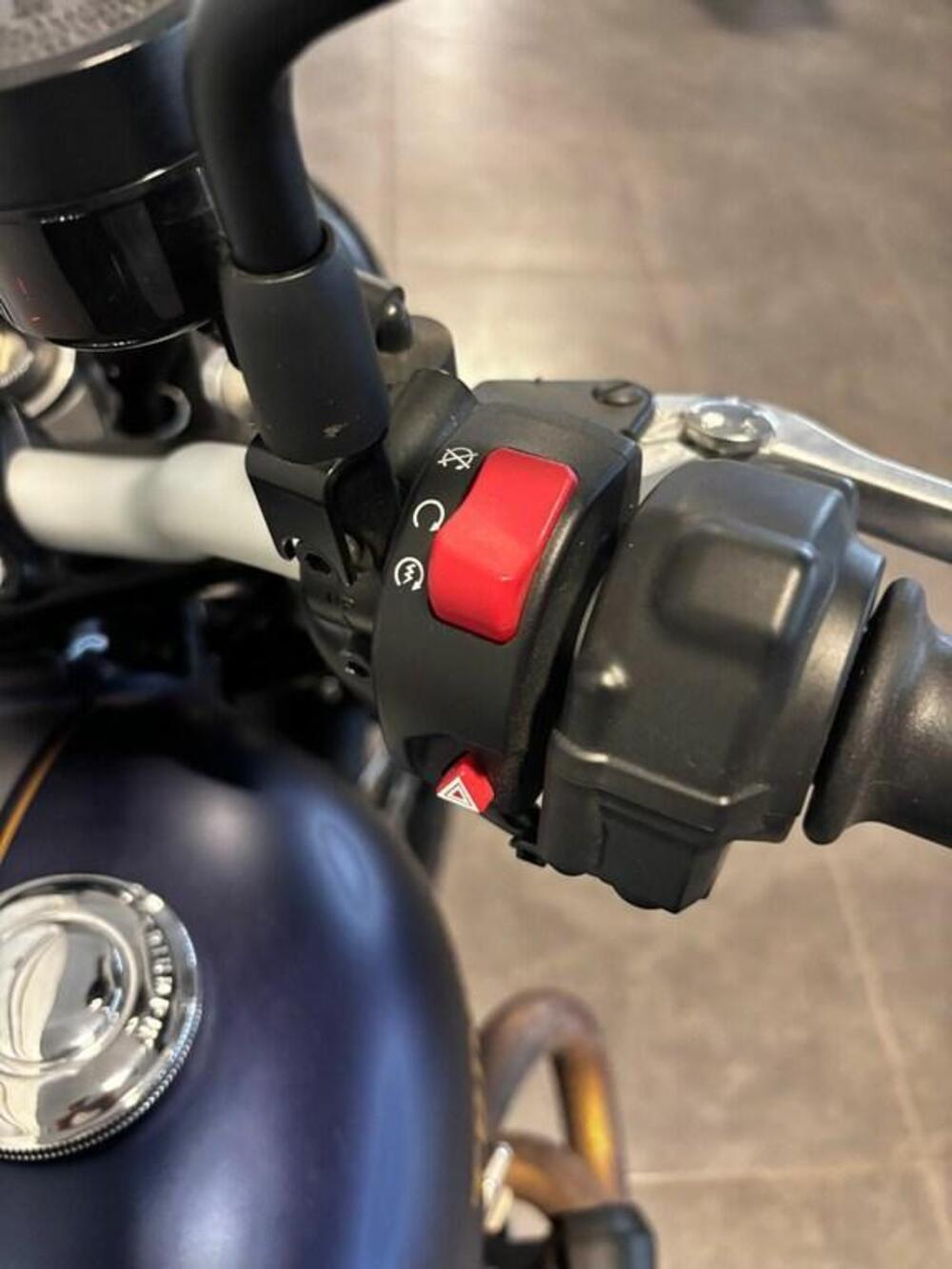 Triumph Street Scrambler 900 Gold Line Edition (2021 - 23) (8)