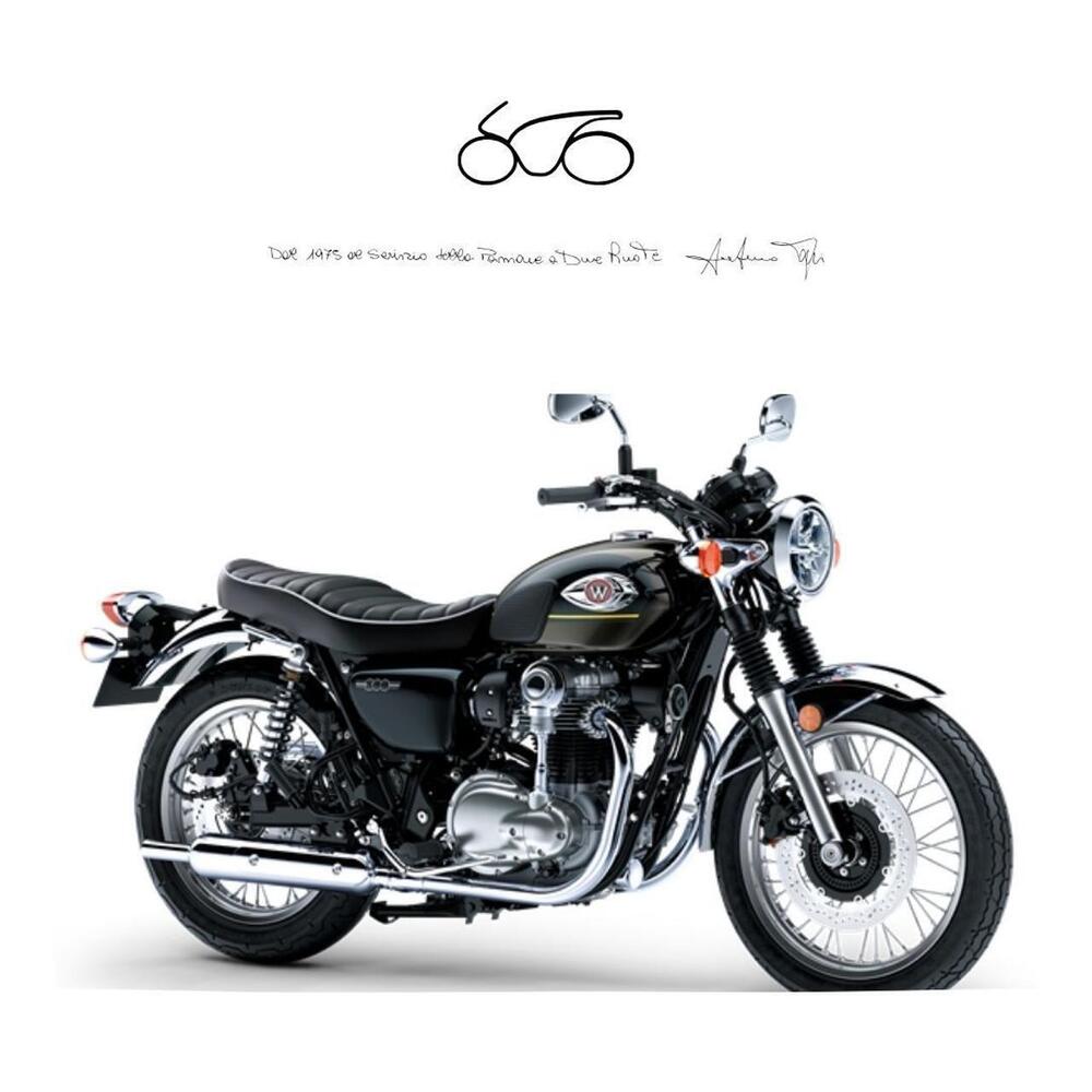Kawasaki W 800 (2021 - 25)
