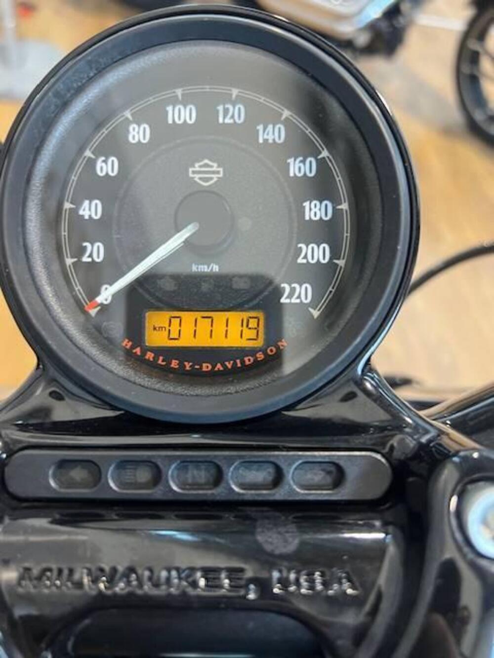 Harley-Davidson 1200 Forty-Eight (2010 - 15) (8)