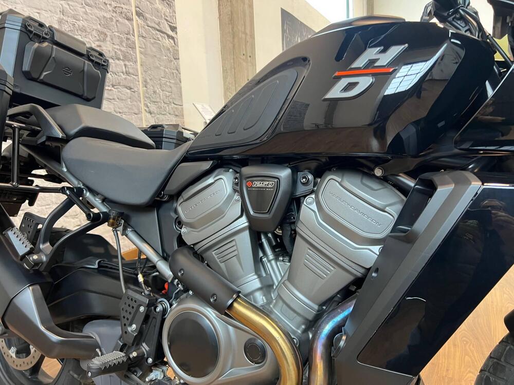 Harley-Davidson Pan America 1250 (2020 - 25) (4)