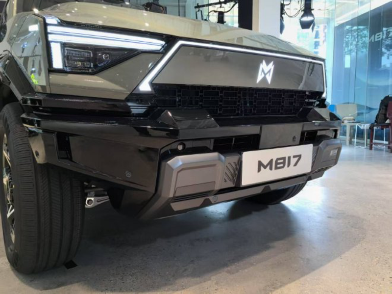 Frontale Warrior M817
